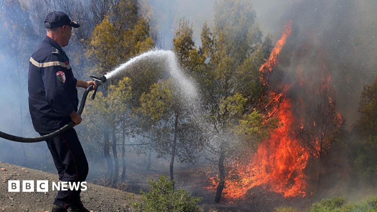 Wildfires claim at least 12 lives across northern Algeria