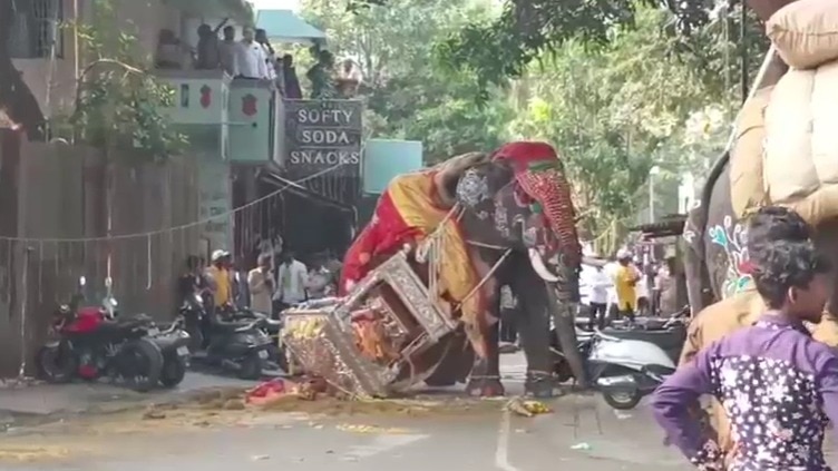 Tusker bolts during Shivamogga Dasara, silver howdah crashes