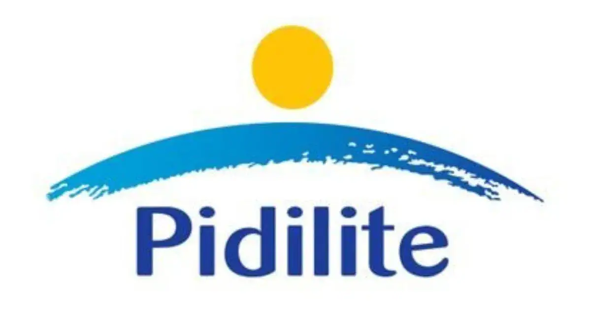 Pidilite holds price line as Q2 demand stays resilient