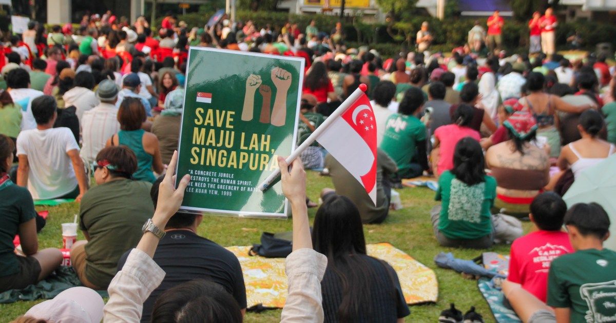 Singapore's forest clearance plan sparks rare environmental backlash