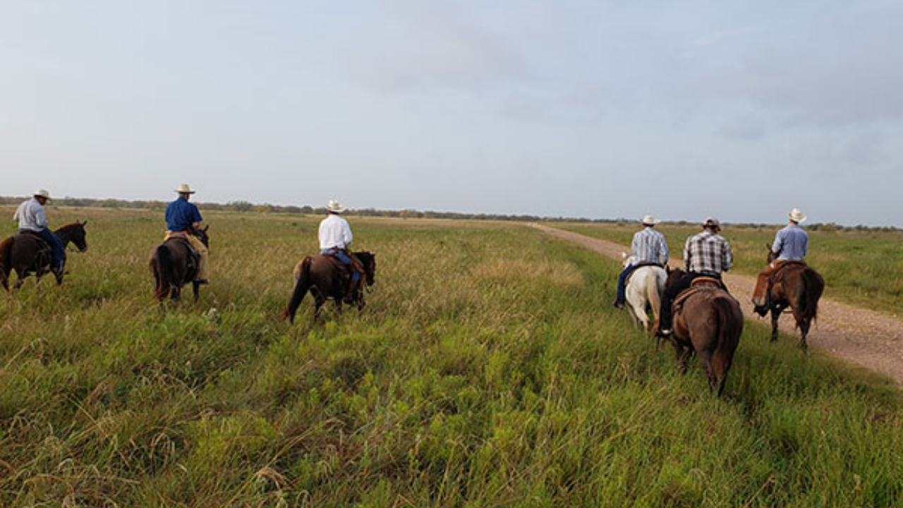 Texas court clears path for oil firm to access ranch, seal inactive well