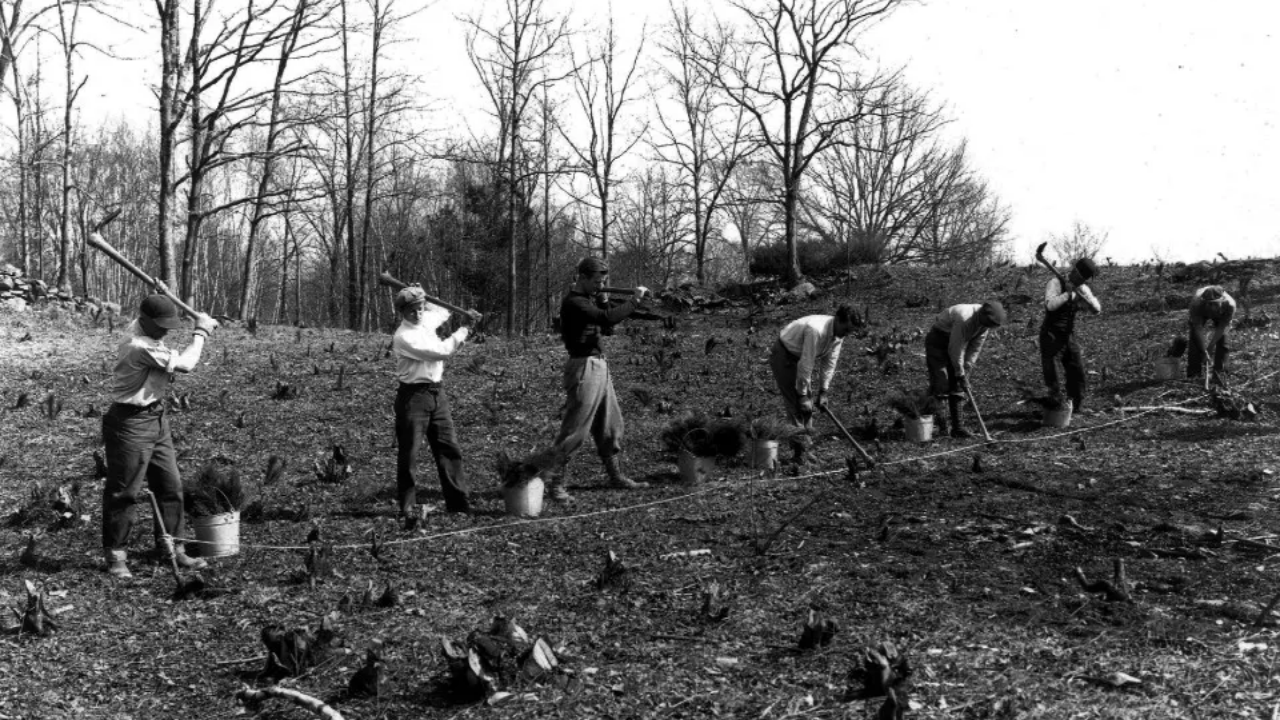 FDR's Legacy: Presidential Estate Donated to Nation in 1943
