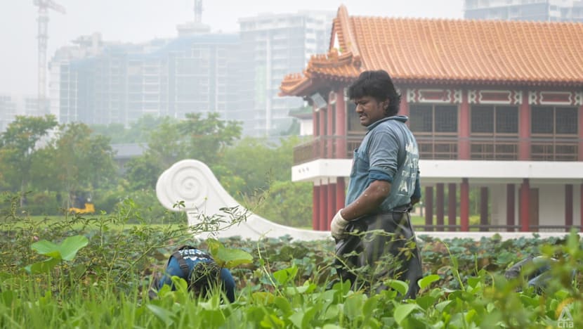 Singapore MOM rolls out real-time PM2.5 guidelines for outdoor work