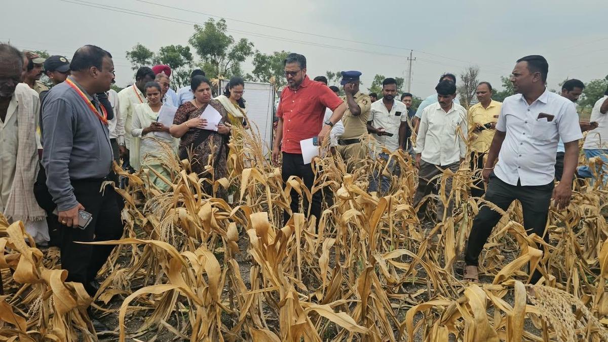 Central team evaluates drought severity across Vijayanagara district