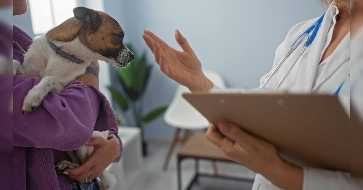 Rajasthan to adopt first dedicated state veterinary policy framework