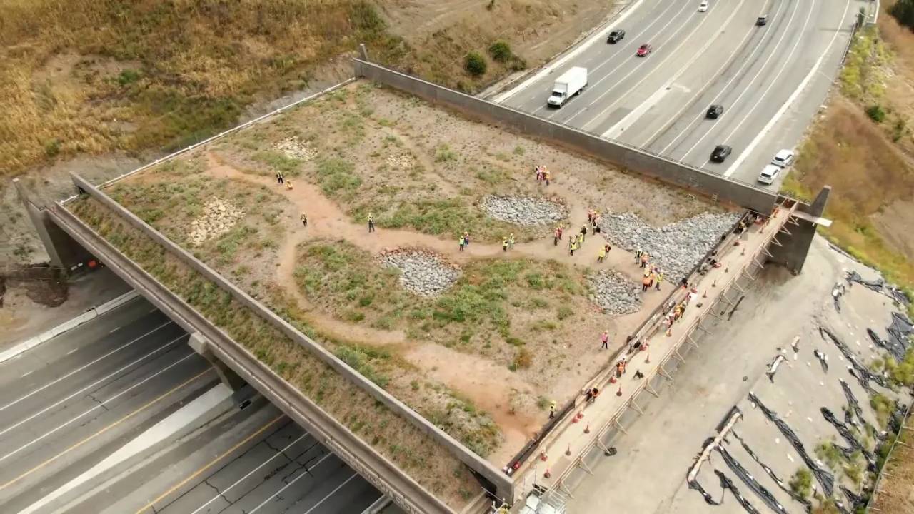 California builds wildlife crossings near Joshua Tree to reduce animal deaths