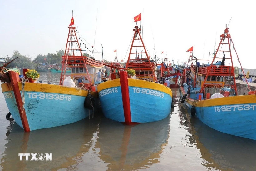 An Giang strengthens oversight of unlicensed vessels to curb illegal fishing