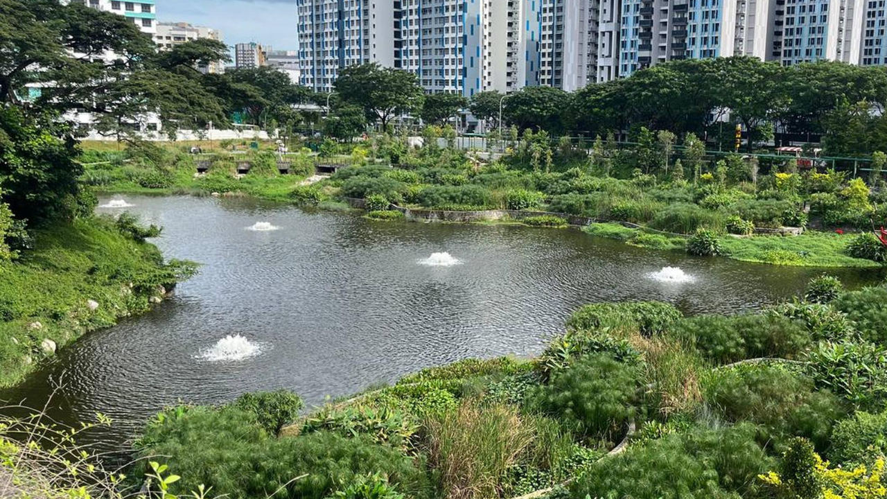 Singapore resurrects vanished 1920s lake for flood control and wildlife