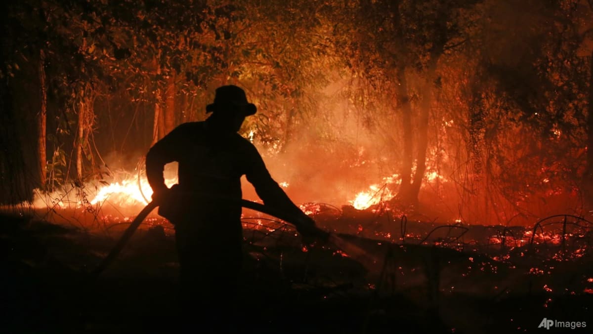 Singapore issues haze prevention notices to seven Indonesian firms
