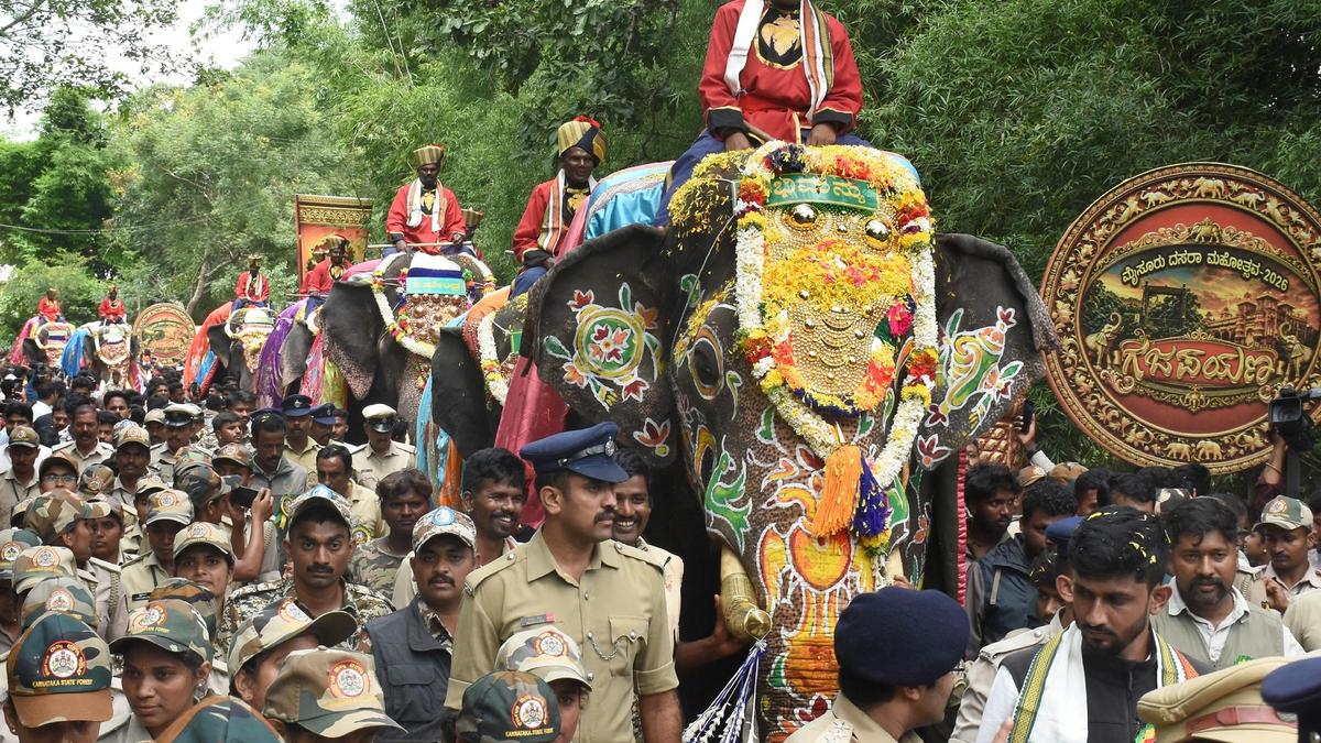 Dasara 2026 elephant contingent blends veteran experience with fresh talent