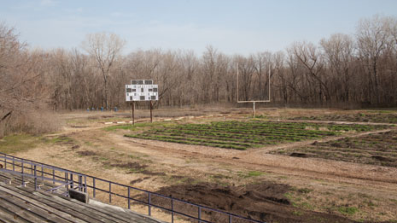 American college transforms unused football field into thriving organic farm