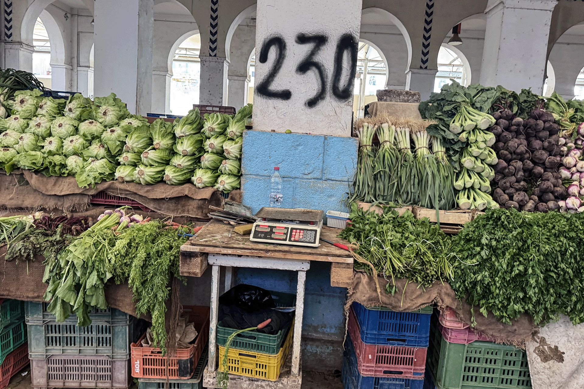 Tunisia's Economic Struggles Persist Despite Saied's Seven-Year Rule