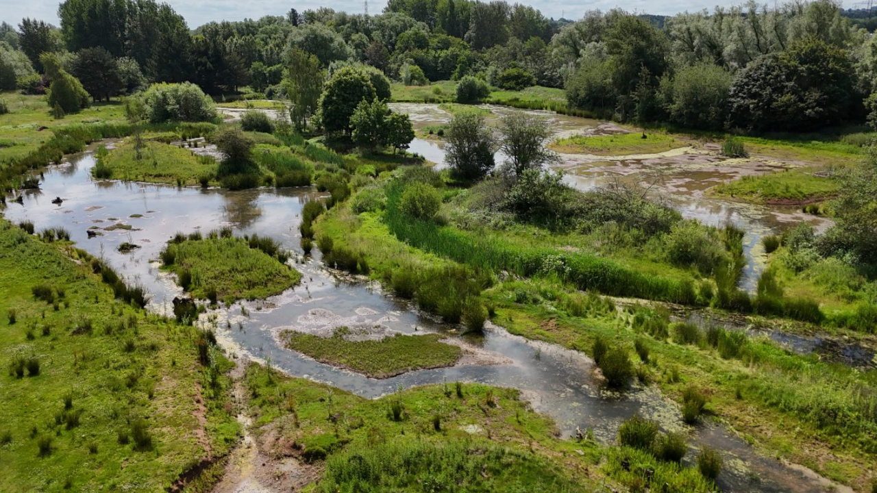 Defunct UK Power Station Site Transforms Into Wetland Nature Park