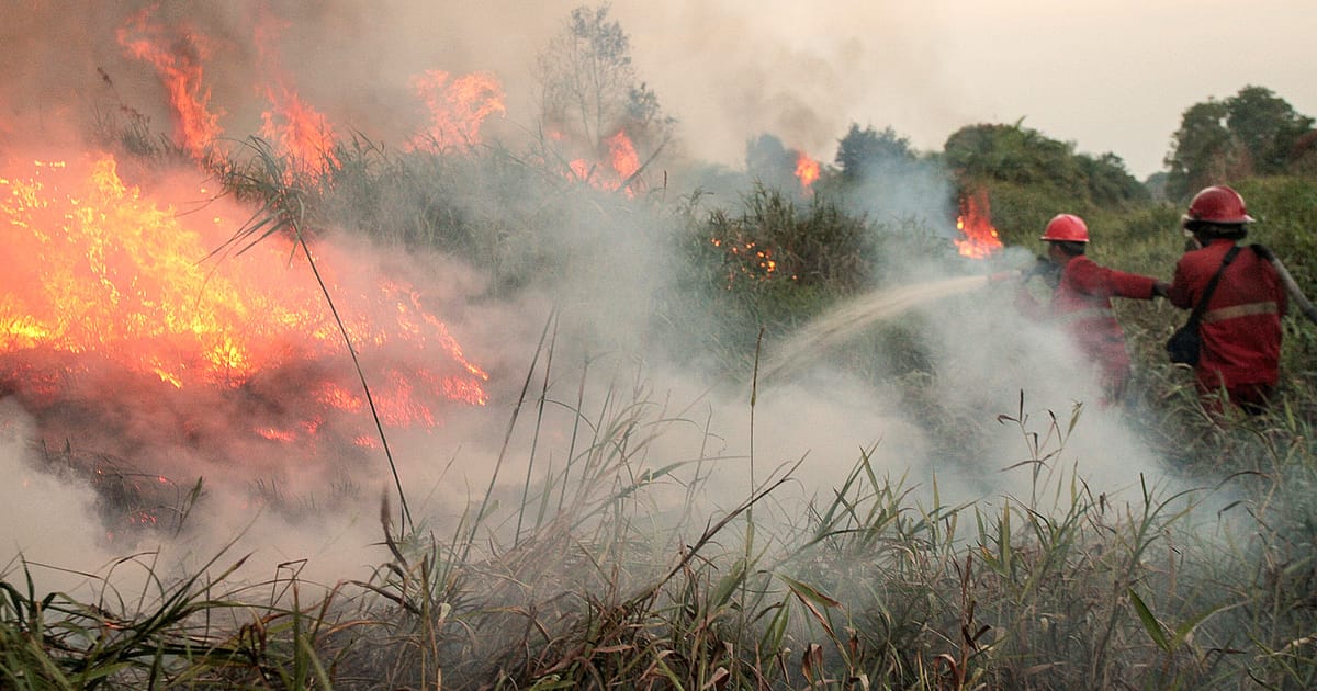 Indonesia Catat 1,437 Titik Panas, Jerebu Melintasi Sempadan
