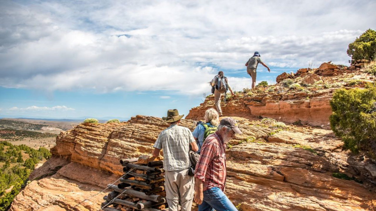 Cattle grazing emerges as tool for ecosystem protection on US ranch