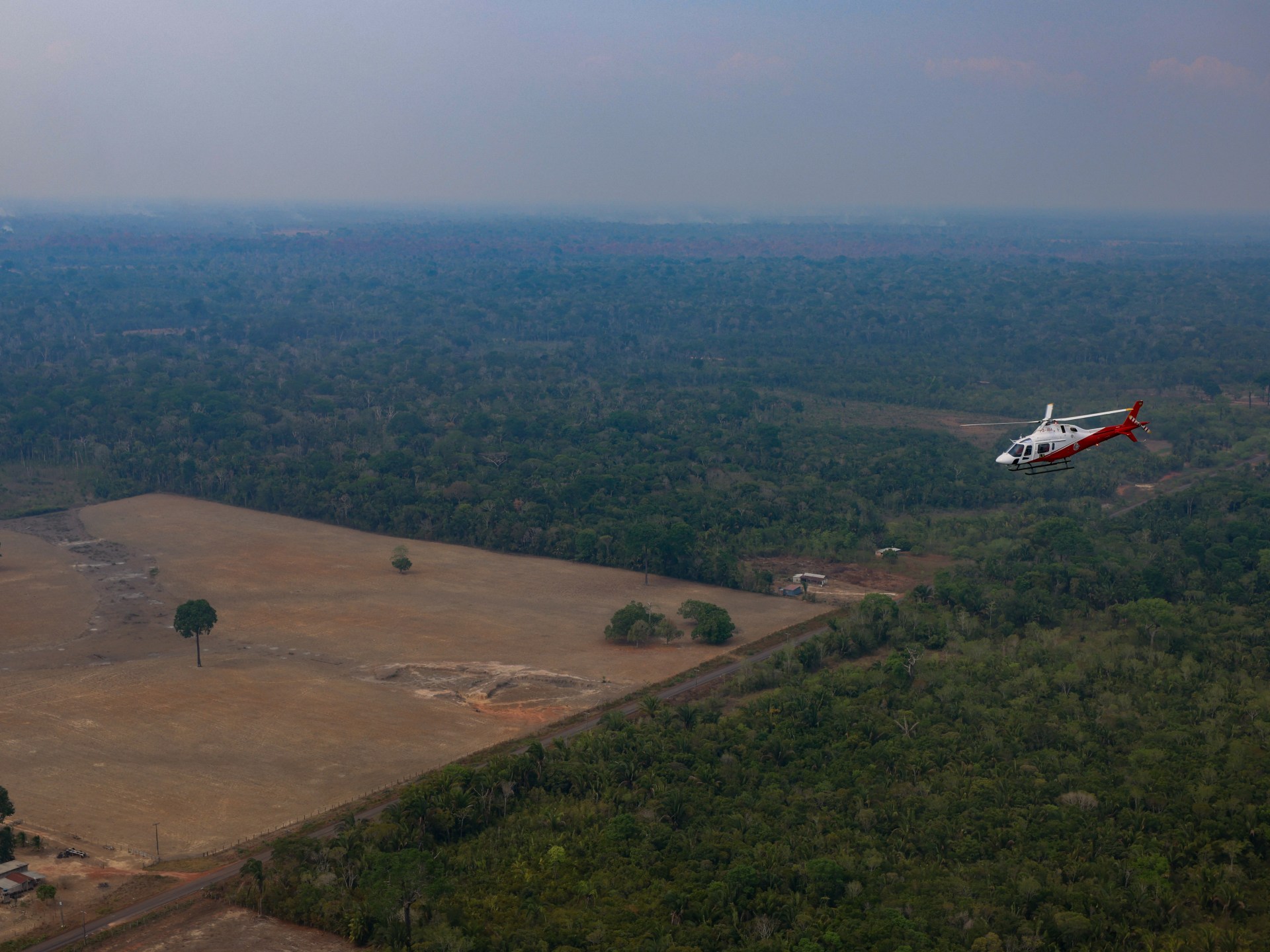 Amazon deforestation plummets to historic low in Brazil
