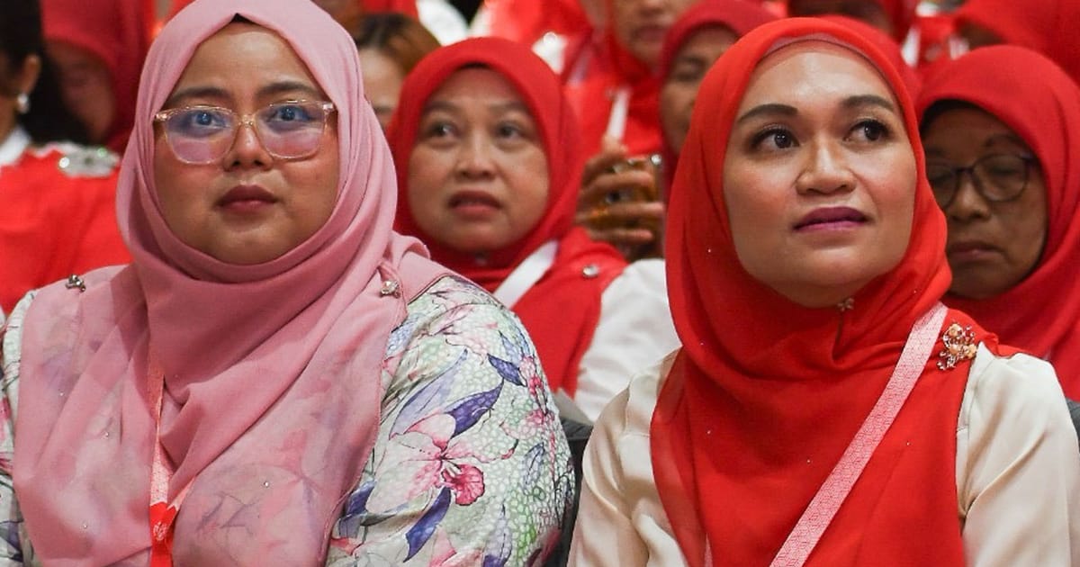 Wakil Bersatu terima notis tunjuk sebab kerana hadir perhimpunan Umno