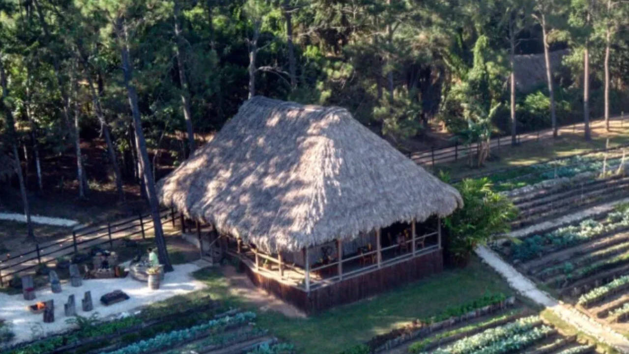Coppola's Belize retreat: From hunting lodge to luxury resort