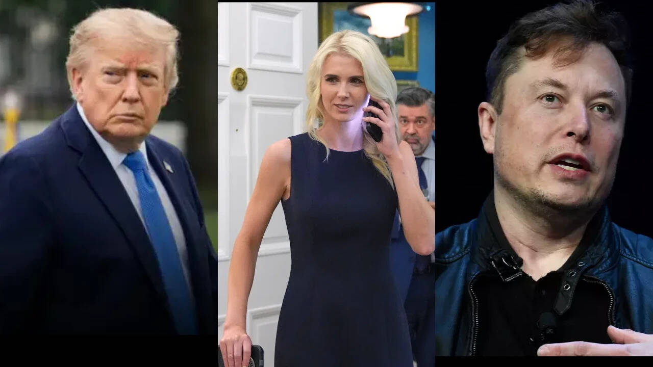 Cruz describes dramatic Trump-Musk confrontation at Mar-a-Lago meeting