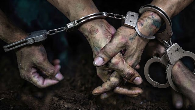 Five detained over illegal artifact excavation in Hingurakgoda