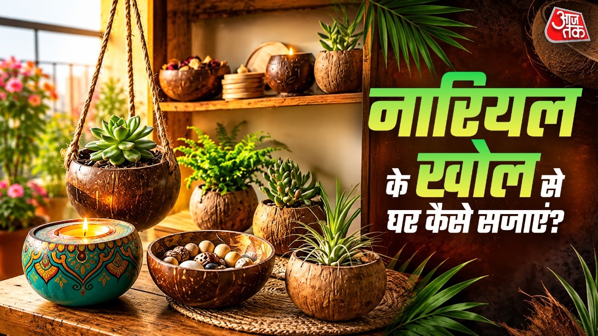 Coconut shells transform into home décor with creative upcycling ideas