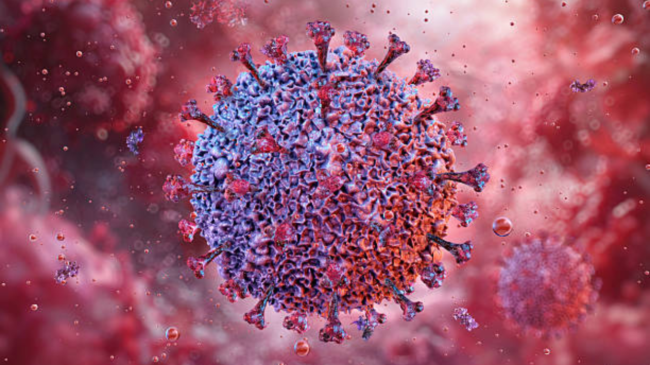Livestock virus Shamonda claims first human life in France