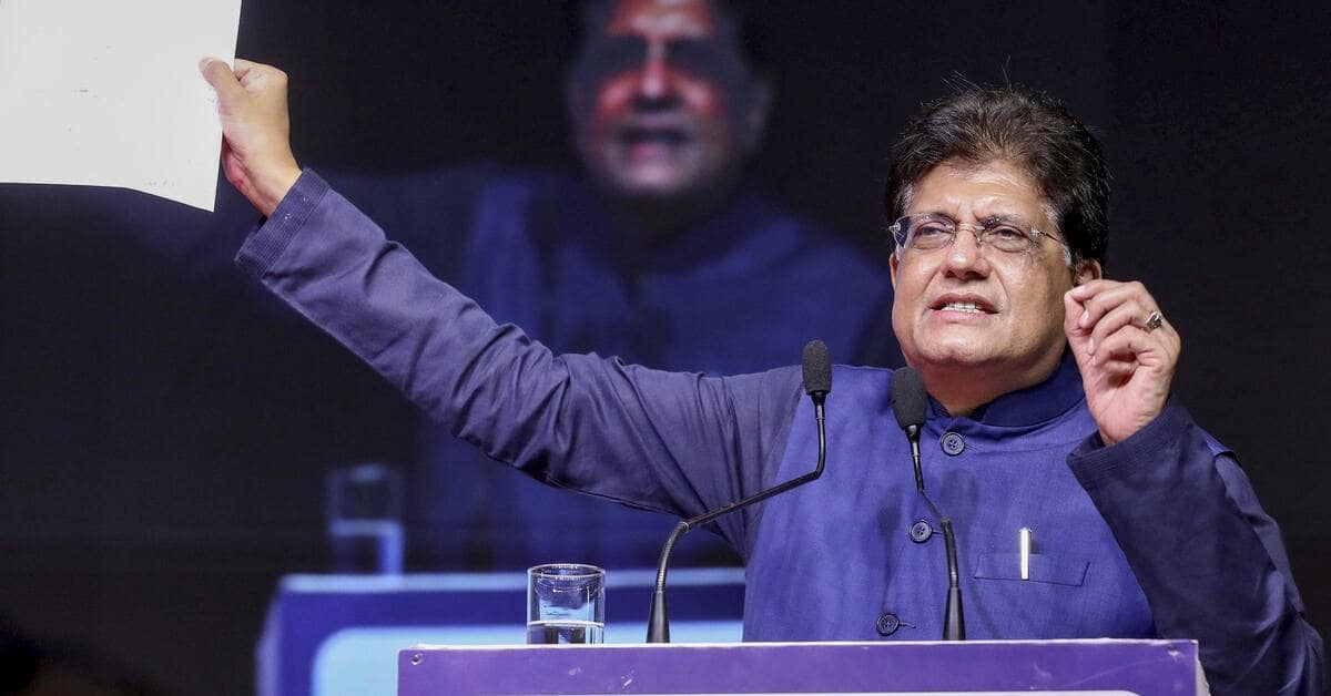 India lacks structural excess manufacturing capacity, says Goyal
