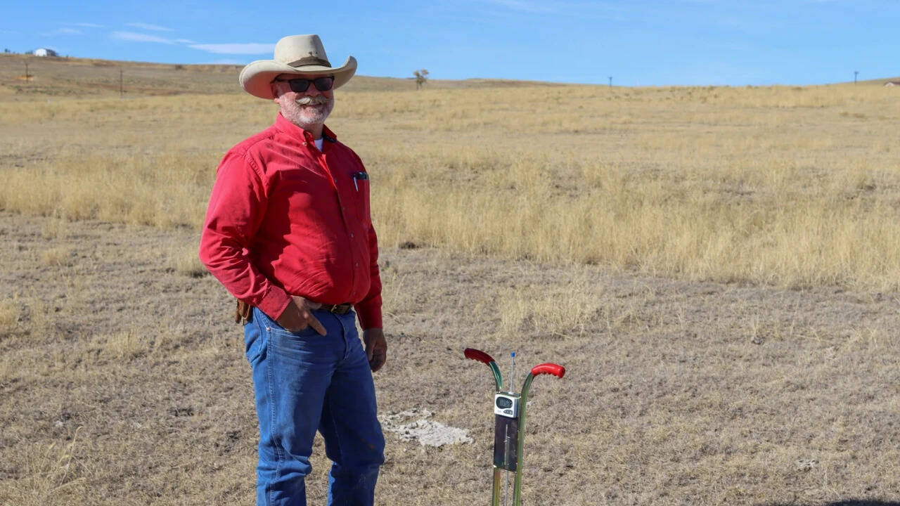 Adaptive grazing revives grassland bird populations on Colorado ranch