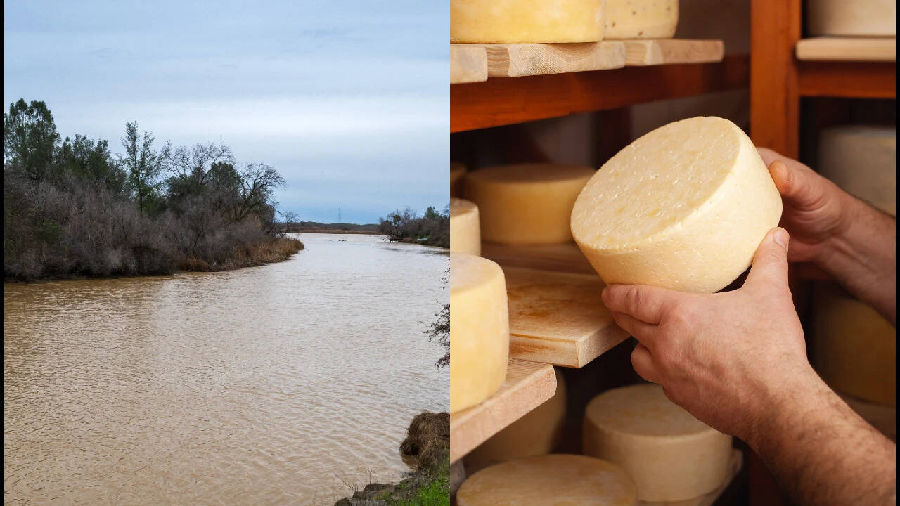 California rancher's decades-long gift transforms river ecosystem restoration