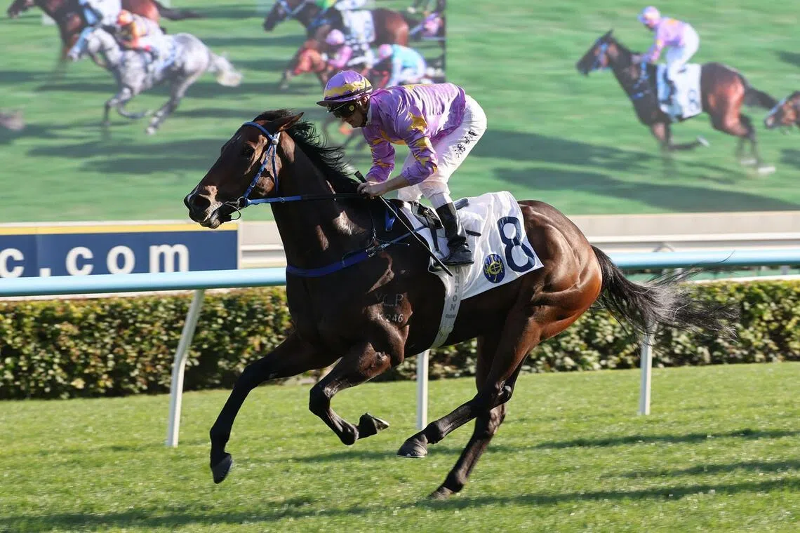 Little Paradise emerges as strong contender in handicap racing