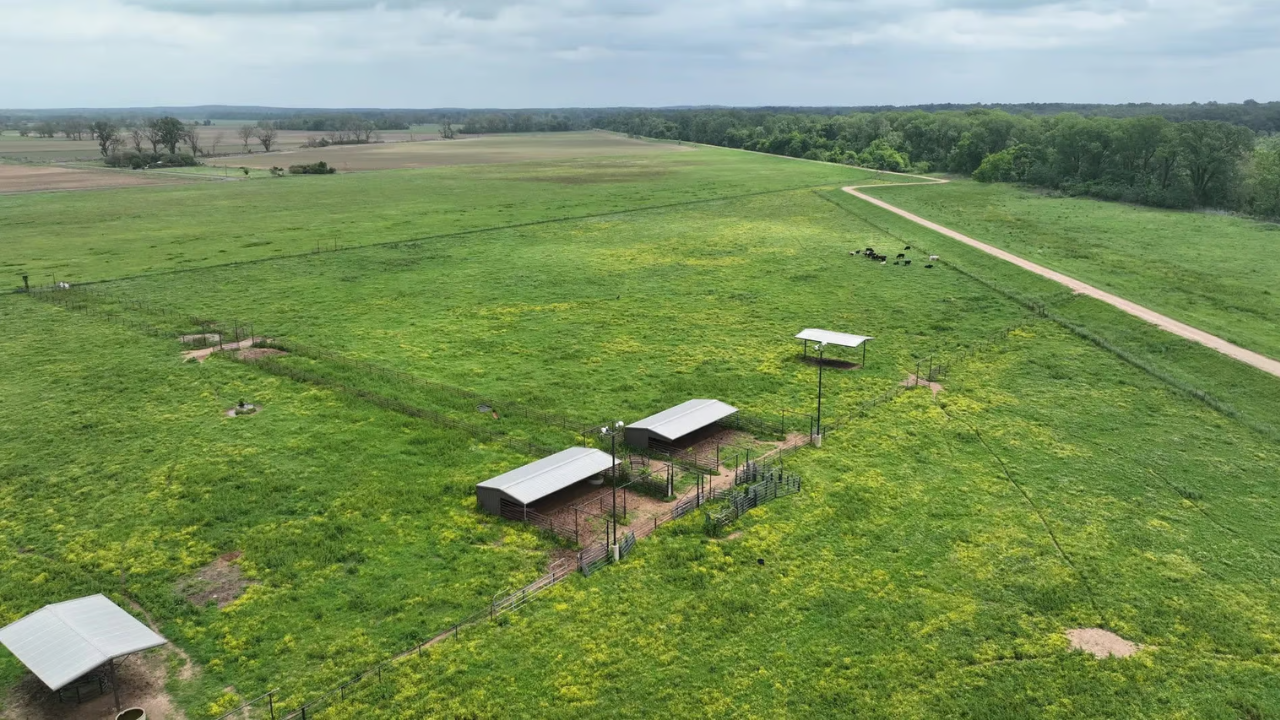 US court orders damages in property dispute over narrow land strip