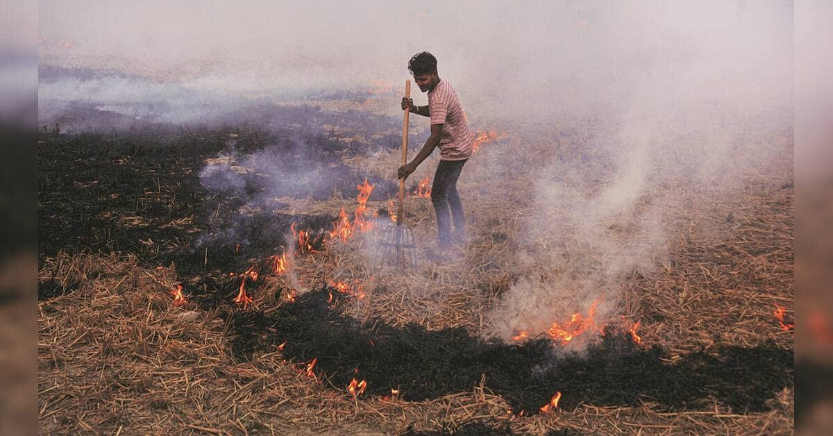 Centre escalates push against crop burning as incidents spike across states