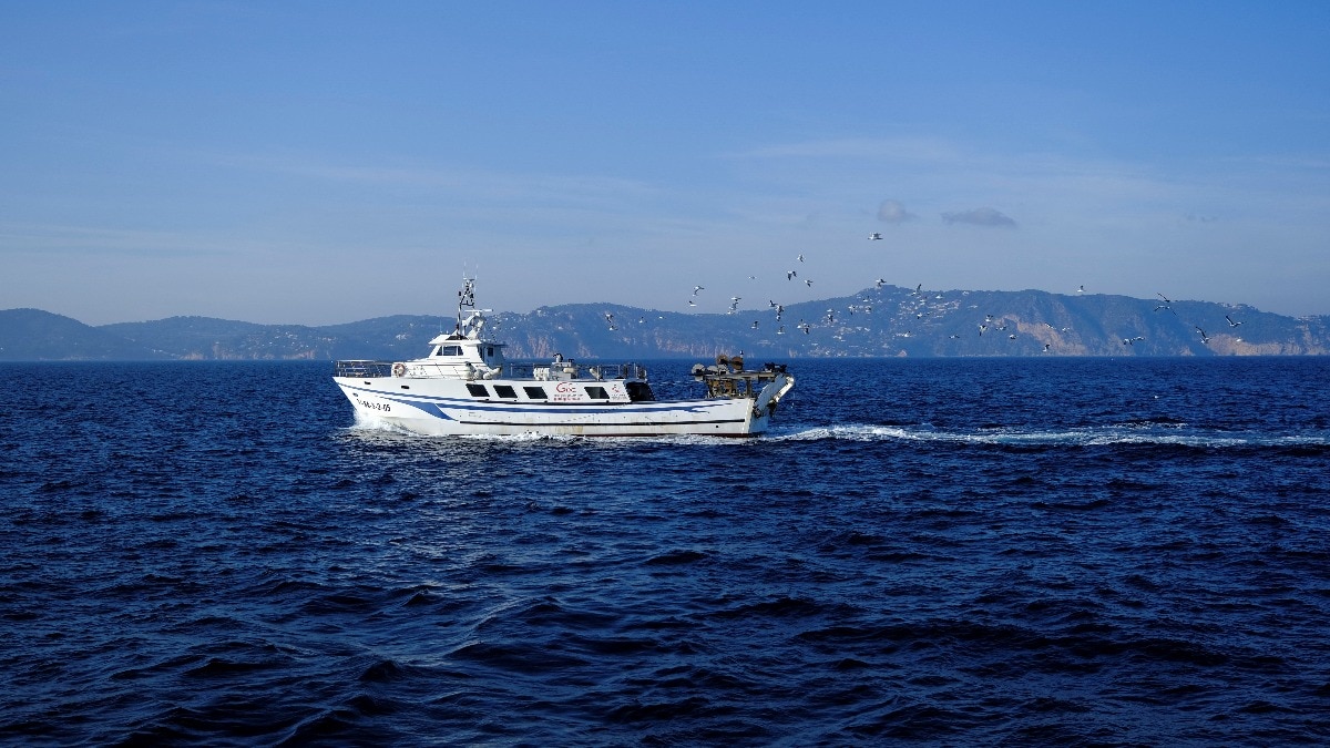 भारतीय नागरिकों को ले जा रही नाव पर सऊदी हमला: हूती का आरोप