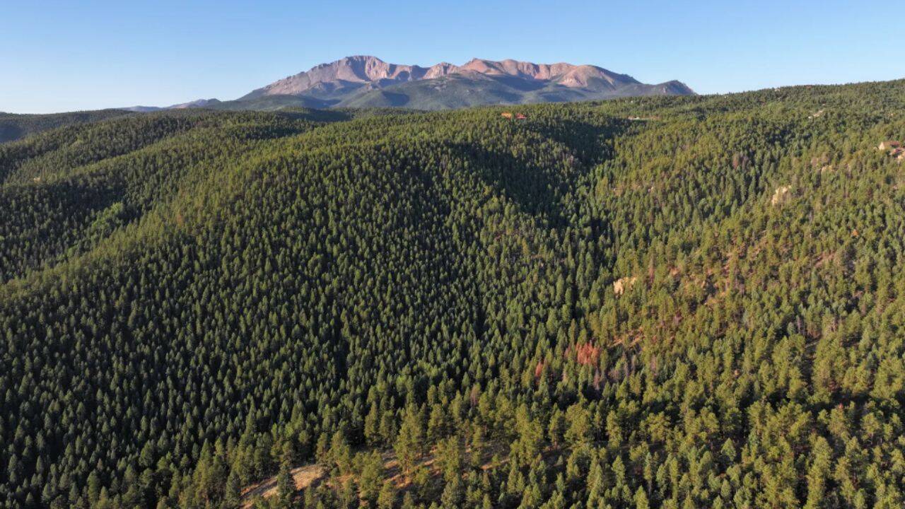 Conservation group acquires Colorado ranch slated for development