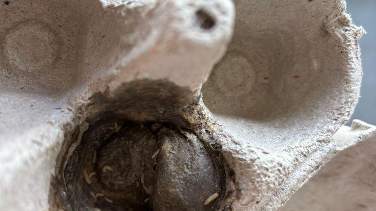 मंगलुरु में ब्लिंकिट के गोदाम से खराब अंडे बरामद