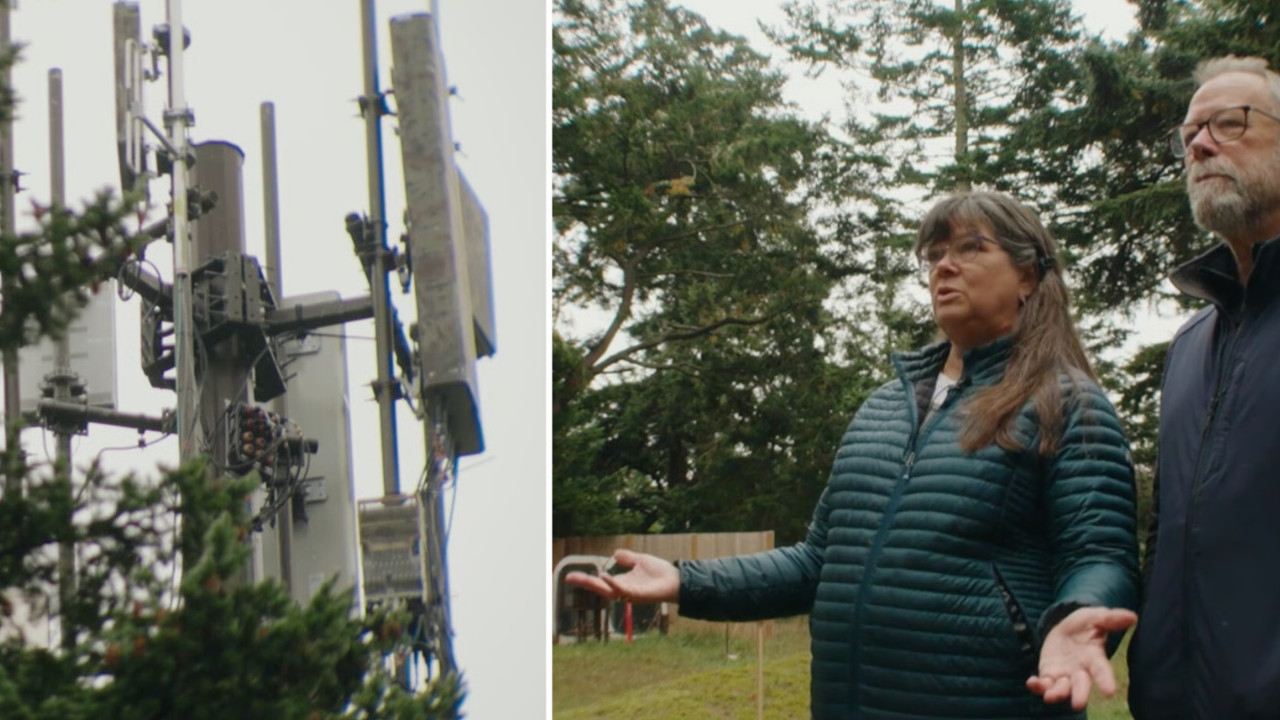 Property Owners Challenge Power Utility Over Unauthorized Tower Installation