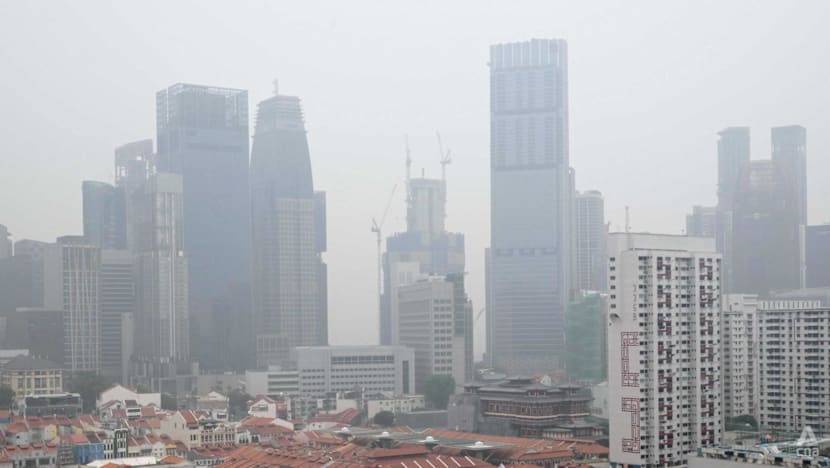 Singapore firms pledge compliance with NEA's haze pollution inquiries