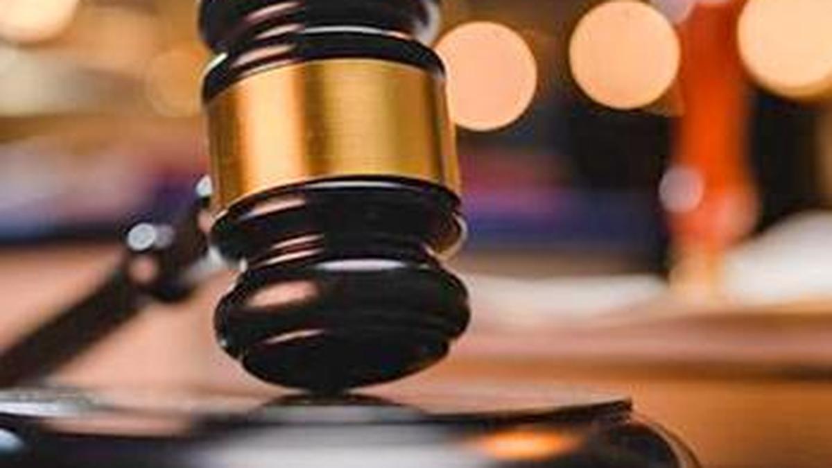 Kerala HC gives state four weeks to name SPCA chief investigator