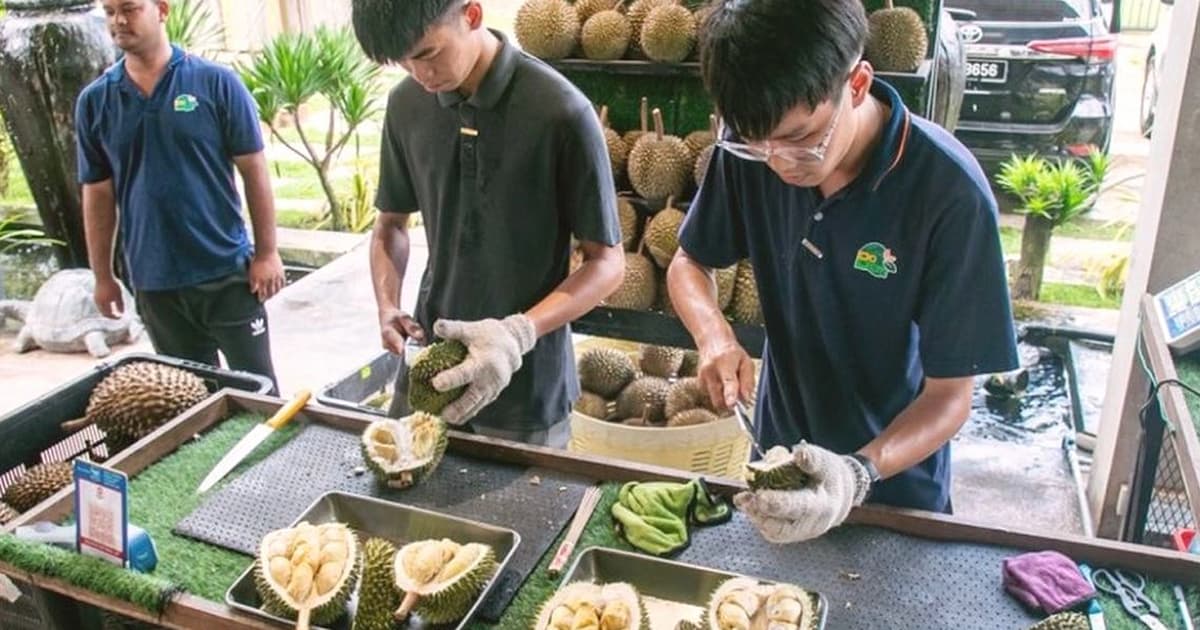 Usahawan Jasin, 22, Terus Warisan Durian Nenek Moyangnya