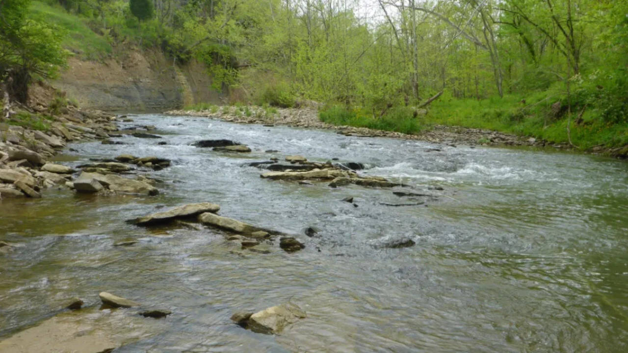 Woman's nature preserve threatened by major sewer infrastructure project