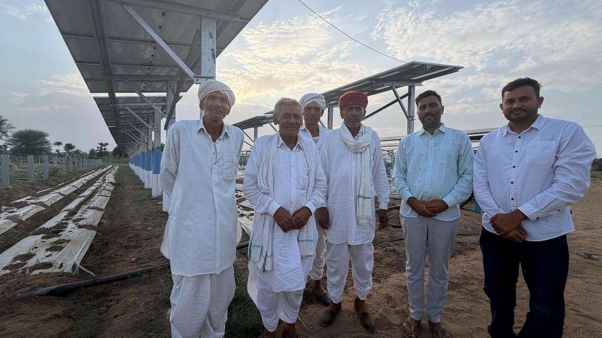 India's agrivoltaics model struggles to scale beyond pilot farms