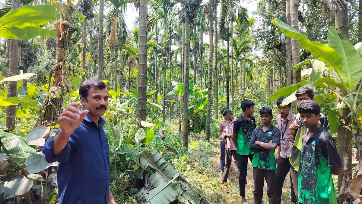 Karnataka Teachers Turn School Grounds into Revenue-Generating Green Space