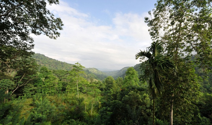 Sri Lanka to gazette 20 forests as official nature reserves