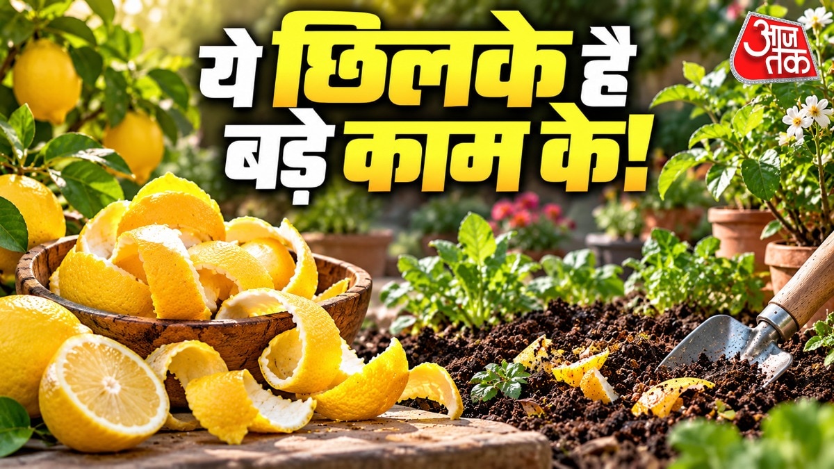 Lemon peels offer natural boost for garden soil and plant health