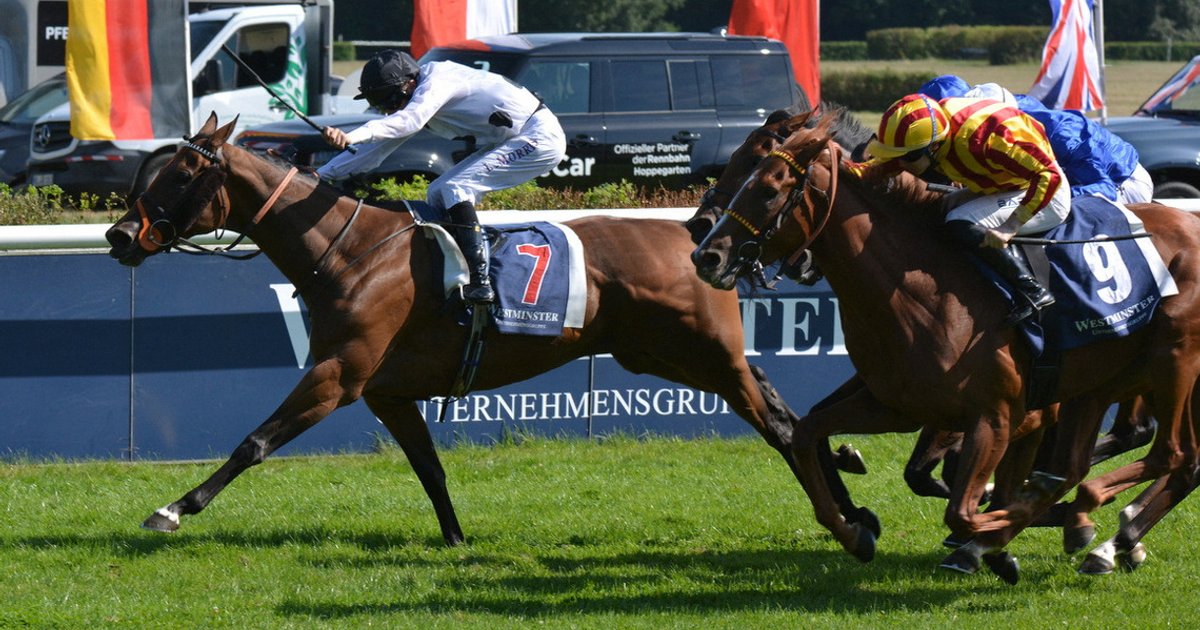 Former balloon worker's mare Tiffany heads to Kentucky Breeders' Cup
