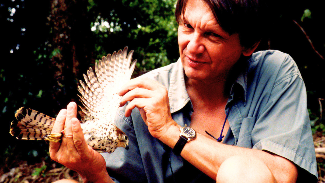 From Brink of Extinction: How One Conservationist Saved Mauritius Kestrel