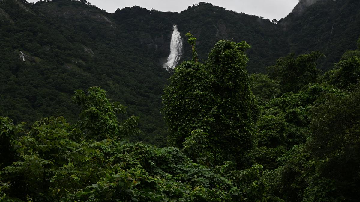 Environmental groups defend biodiversity law amid protest allegations