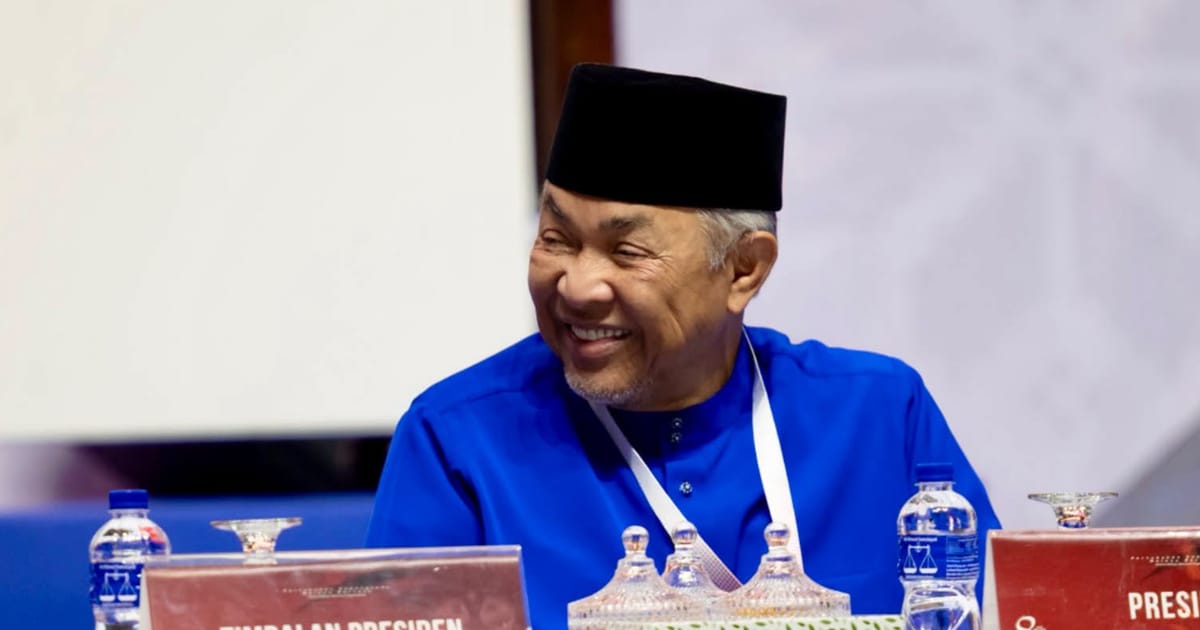 Zahid thanks supporters at home and abroad in apparent response to Anwar