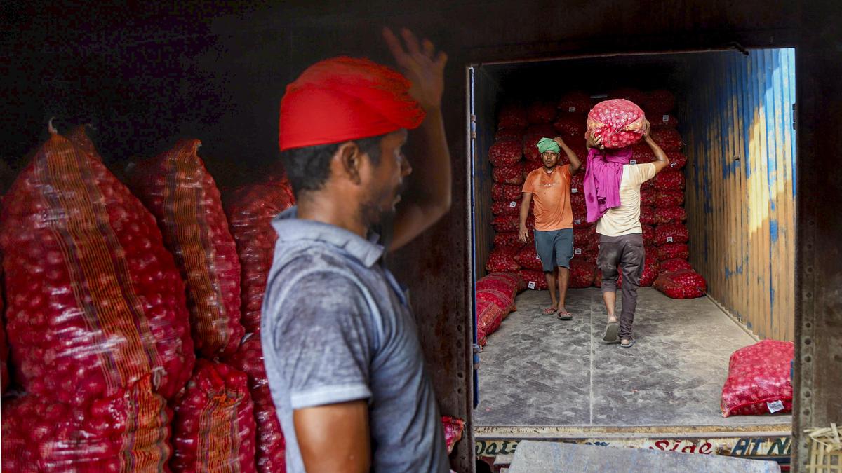 सरकार के प्याज के भंडार की गुणवत्ता अच्छी है: उपभोक्ता मामले सचिव