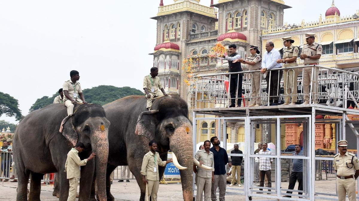 Mysuru Palace hosts inaugural Jamboo Savari rehearsal ahead of festival